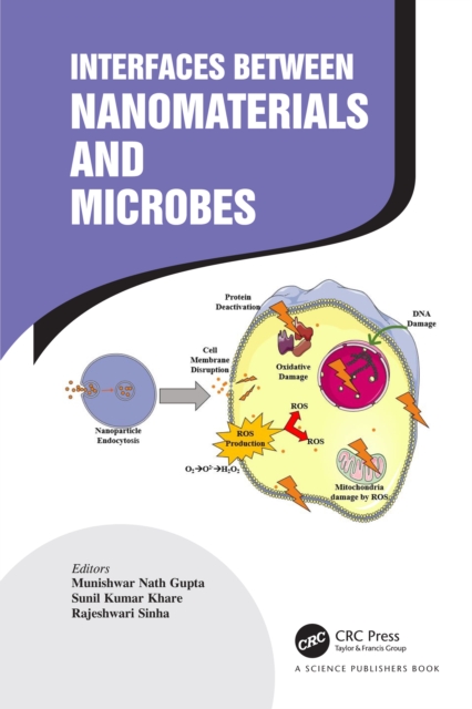 Interfaces Between Nanomaterials and Microbes