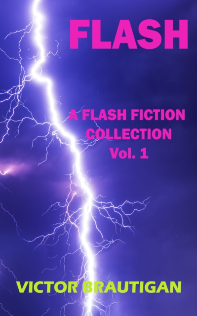 Flash - A Flash Fiction Collection Vol.1