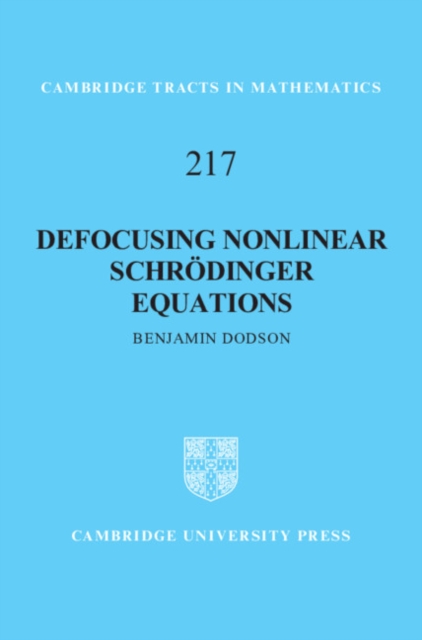 Defocusing Nonlinear Schrodinger Equations