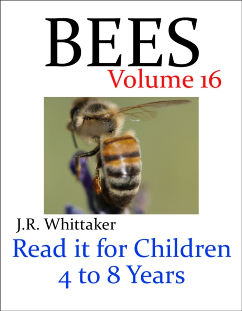 Bees (Read It Book for Children 4 to 8 Years)
