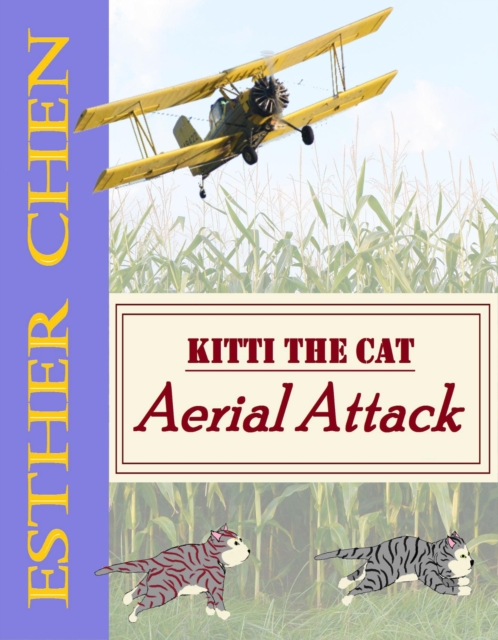 Kitti The Cat - Aerial Attack