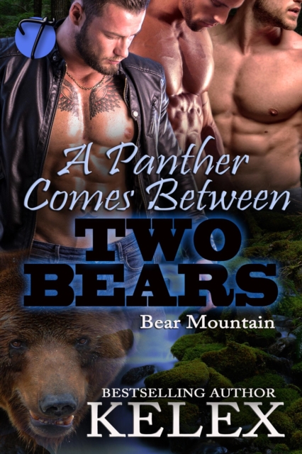 Panther Comes Between Two Bears