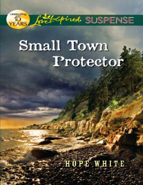 Small Town Protector (Mills & Boon Love Inspired Suspense)