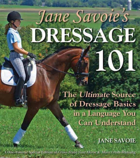 Core Conditioning for Horses