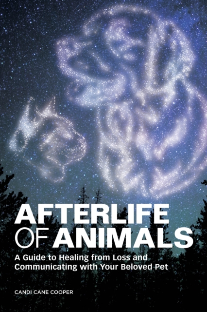 Afterlife of Animals