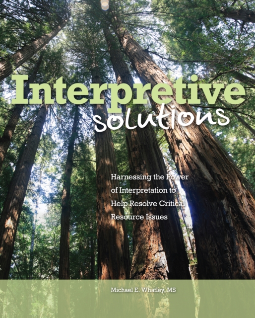 Interpretive Solutions