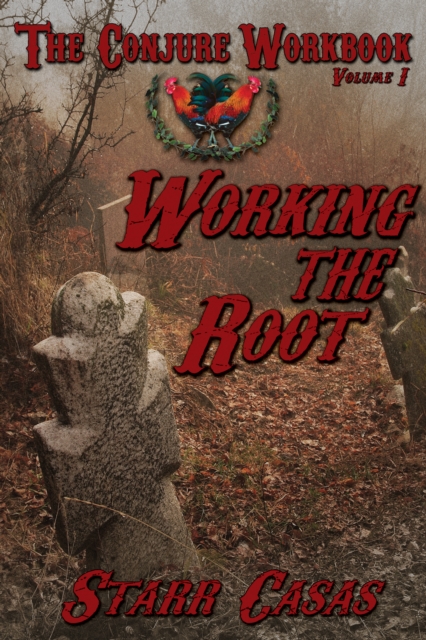 Conjure Workbook Volume I Working the Root