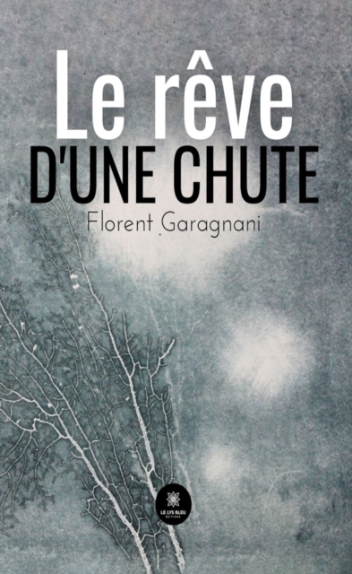 Le reve d'une chute