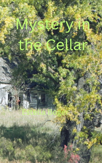 Mystery in The Cellar