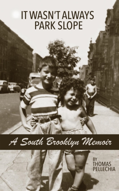 South Brooklyn Memoir: It Wasn't Always Park Slope