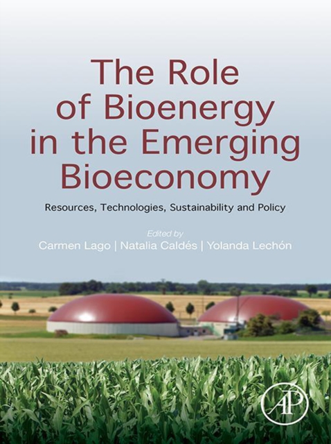 Role of Bioenergy in the Emerging Bioeconomy