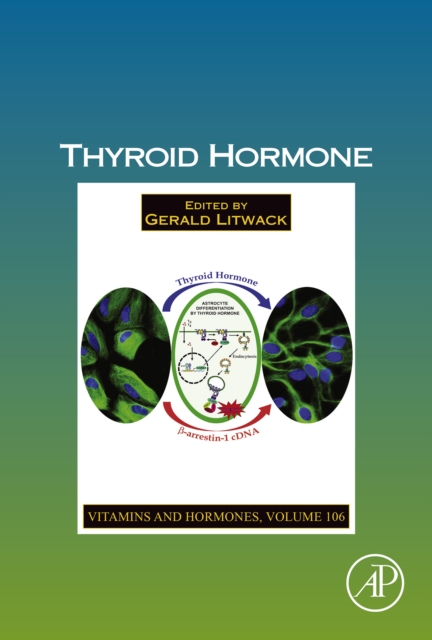 Thyroid Hormone
