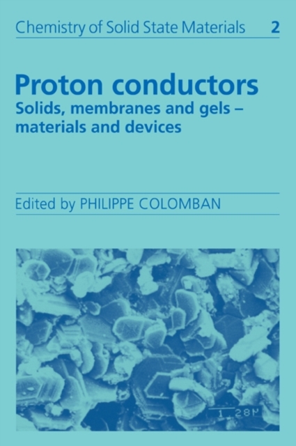 Proton Conductors