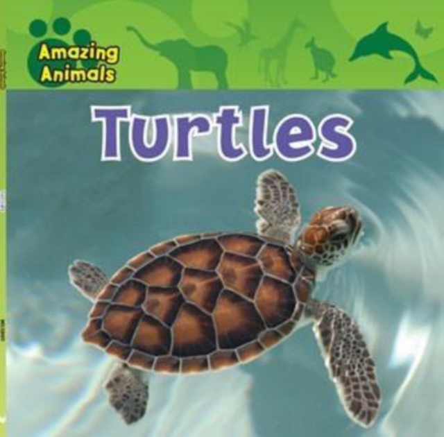 Turtles