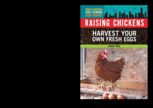 Raising Chickens