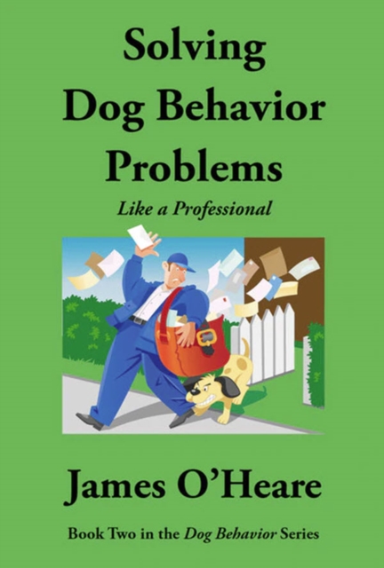 Solving Dog Behavior Problems Like A Professional