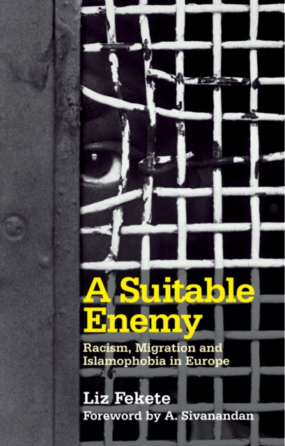 Suitable Enemy