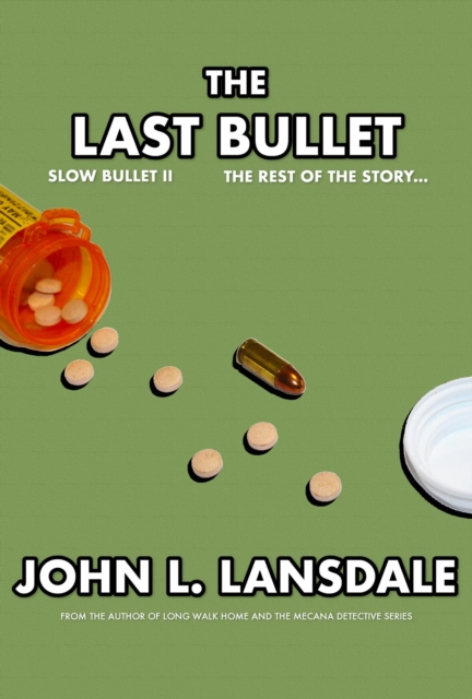 Slow Bullet II