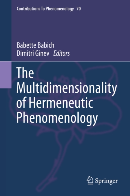 Multidimensionality of Hermeneutic Phenomenology
