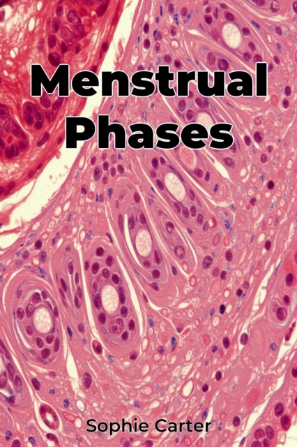Menstrual Phases