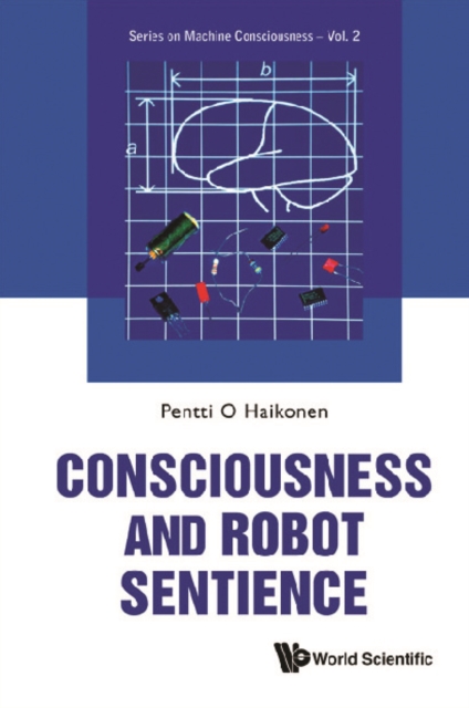 Consciousness And Robot Sentience