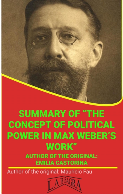 Summary Of &quote;The Concept Of Political Power In Max Weber's Work&quote; By Emilia Castorina