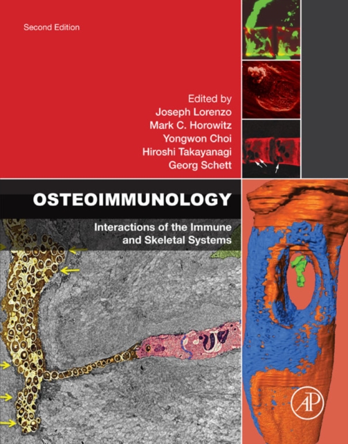 Diagnosing in Cardiovascular Chinese Medicine