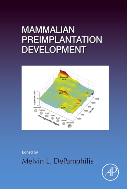 Mammalian Preimplantation Development