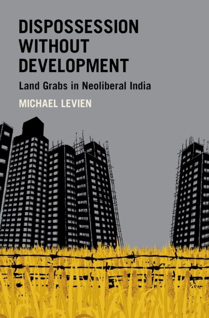 Dispossession without Development