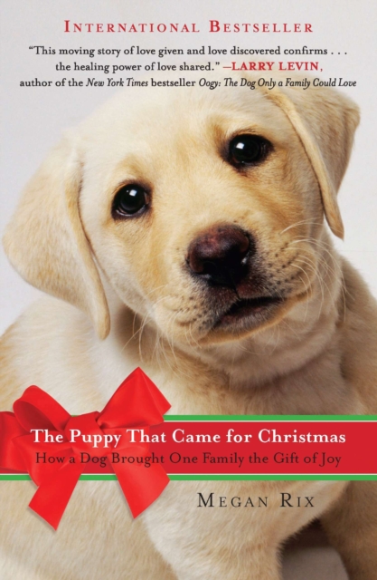 Puppy That Came for Christmas