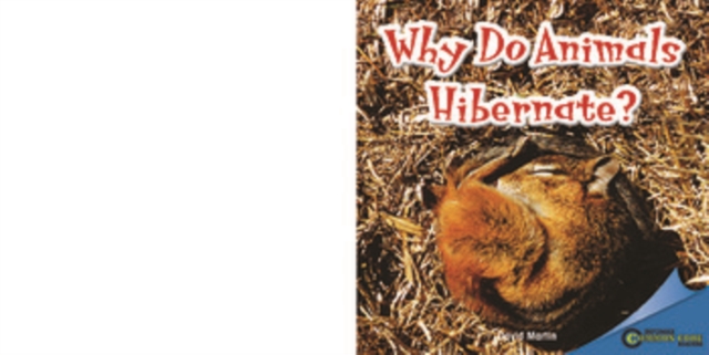 Why Do Animals Hibernate?