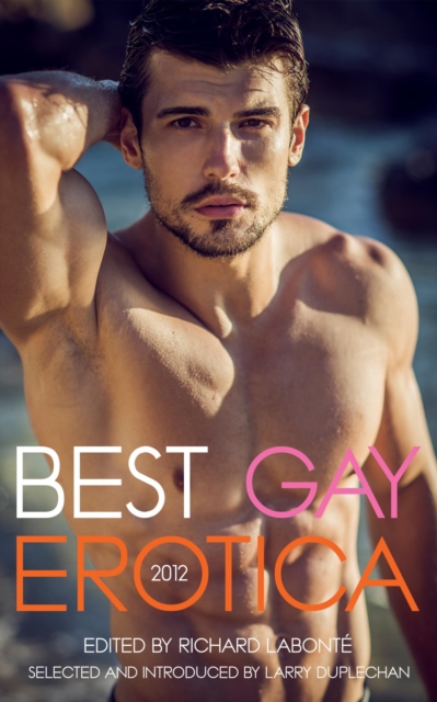 Best Gay Erotica 2012