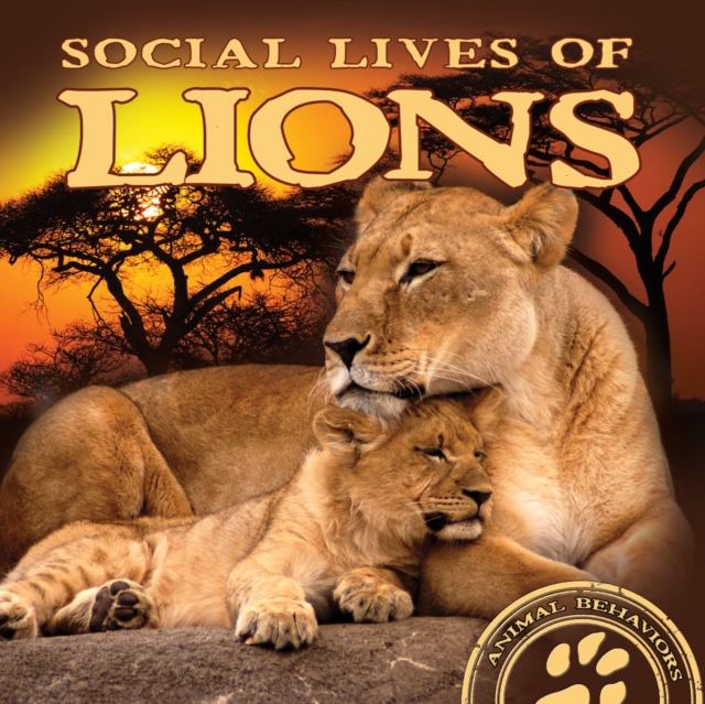 Social Lives of Lions
