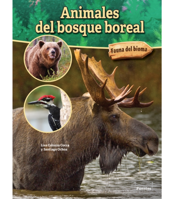 Animales del bosque boreal