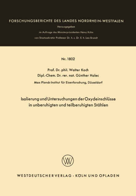 Kopplungserscheinungen zwischen ferromagnetischen Elementarprozessen