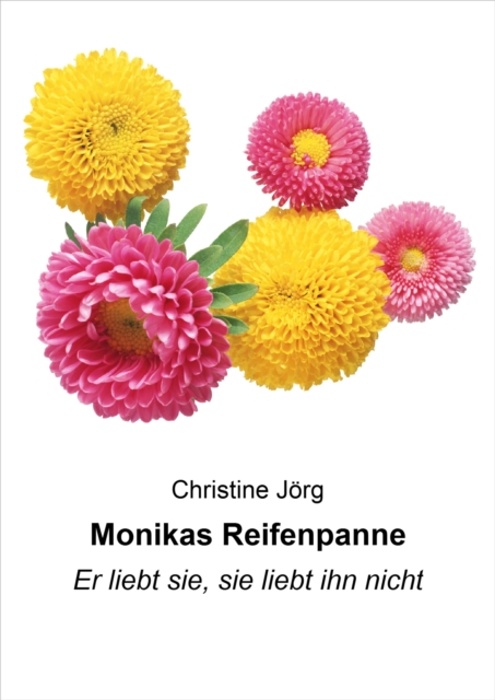 Monikas Reifenpanne