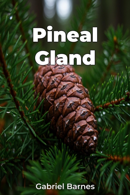 Pineal Gland