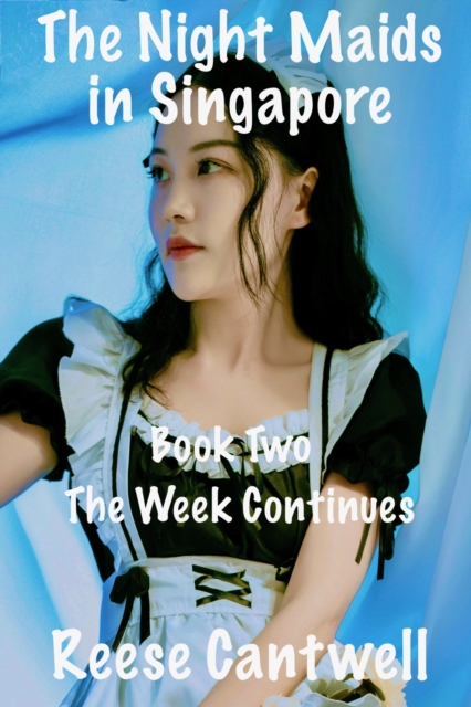 Night Maids in Singapore: Book Two: The Week Continues
