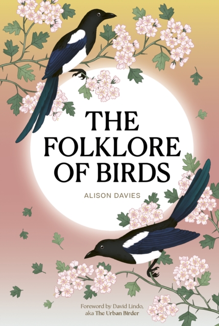 Folklore of Birds