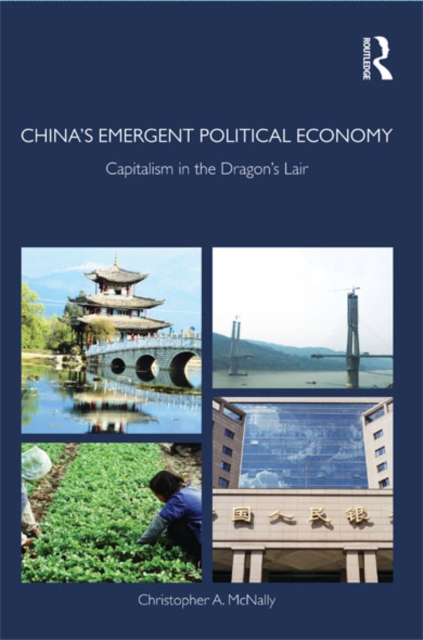 China's Emergent Political Economy