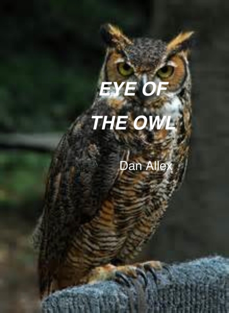Eye Of The Owl