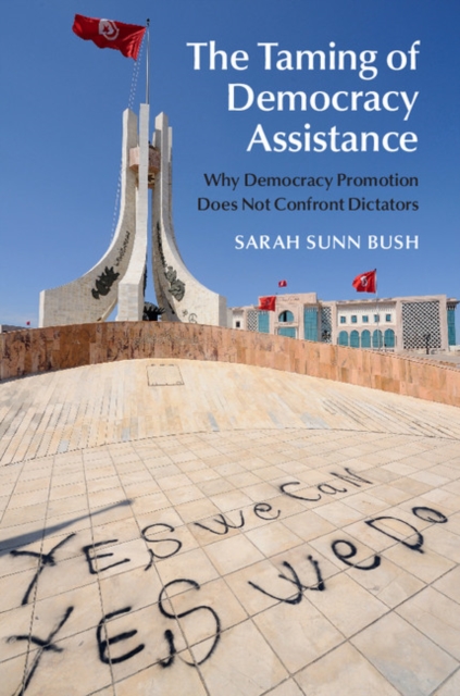 Taming of Democracy Assistance