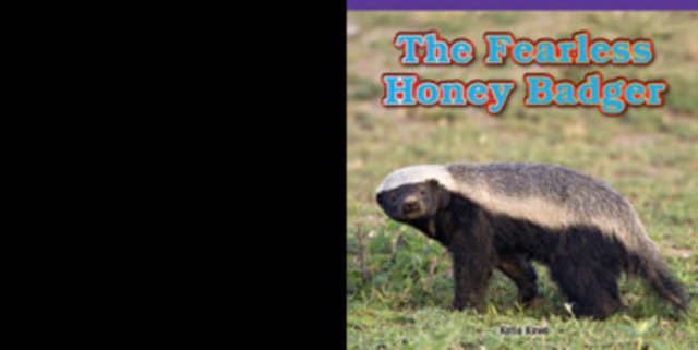Fearless Honey Badger