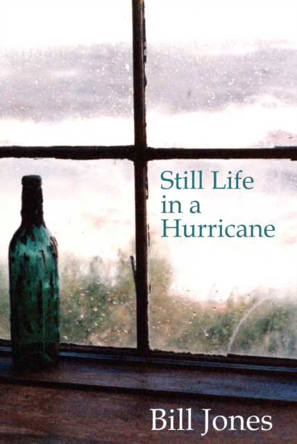 Stil Life in a Hurricane
