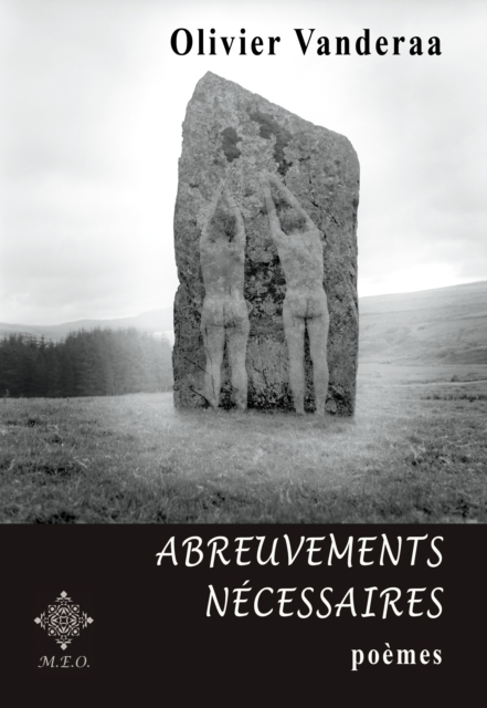 Voyage à travers les fenêtres