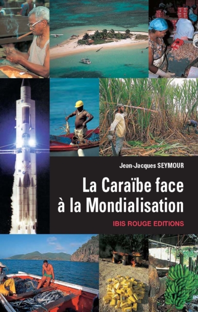 La Caraïbe face à la mondialisation