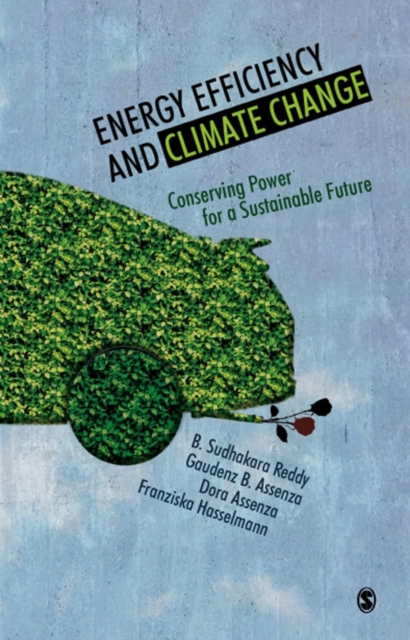 Energy Efficiency and Climate Change