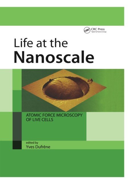 Life at the Nanoscale