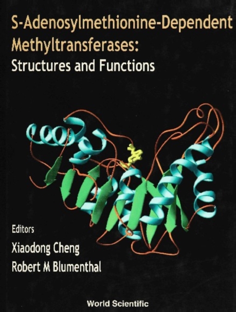 S-adenosylmethionine-dependent Methyltransferases: Structures And Functions