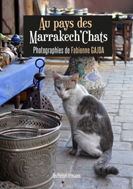Au pays des Marrakech’Chats